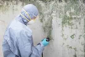 Best Water Damage & Mold Remediation  in Southeast Arcadia, FL